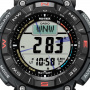 CASIO PRG-340-1