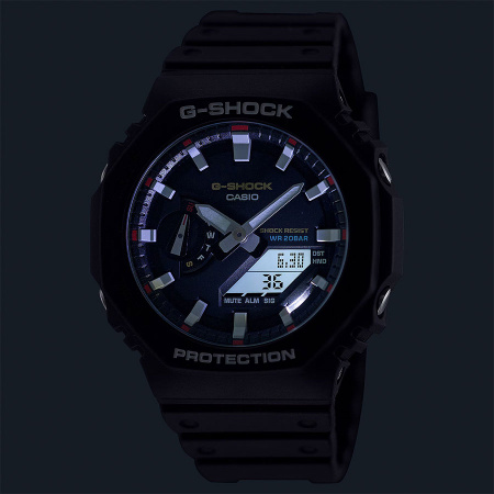 CASIO GA-2100RL-1A