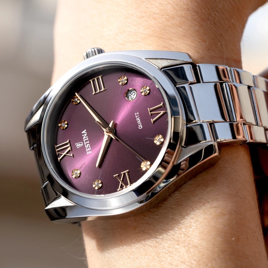 FESTINA F16790/E
